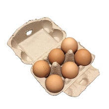 Bio-degradable paper egg tray chicken egg cartons 6 eggs packers 6  cells with lid